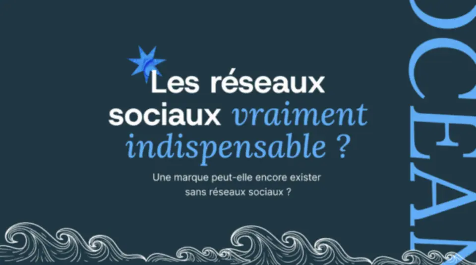réseaux sociaux pour les marques
